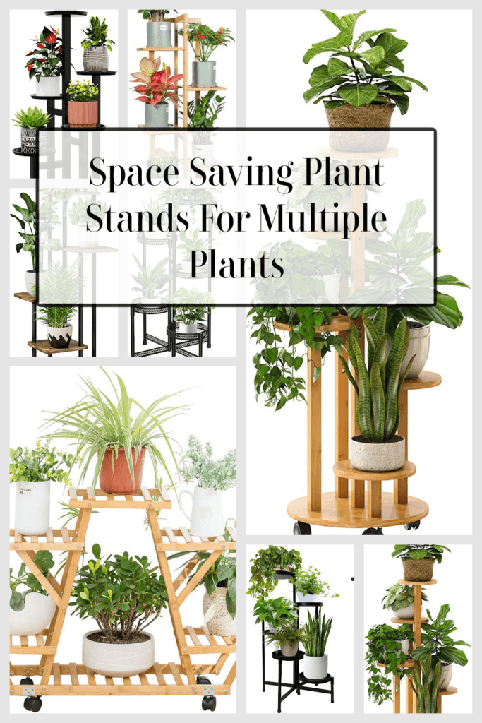 In Space Saving Plant Stands For Multiple Plants, this is the graphic for this post