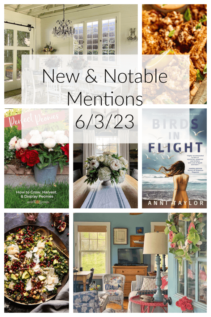 In New & Notable Mentions 6/3/23, this is the collage I made for this week's post