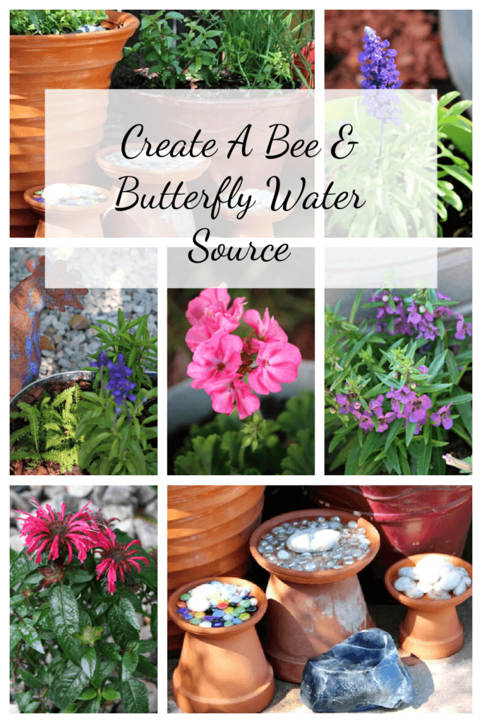 Collage for my post about creating a bee and butterfly water source