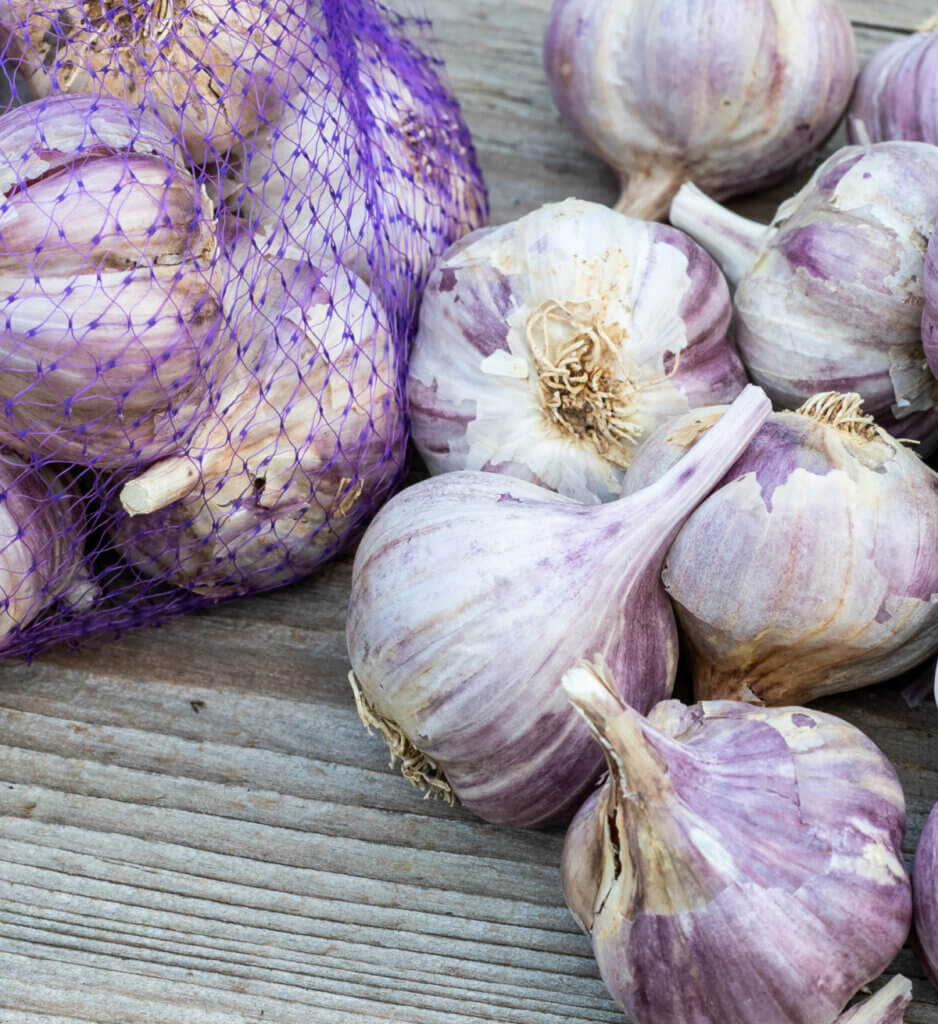 In DIY Garlic Spray Will Kill Bugs, you can purchase garlic at the store or grow it in your garden