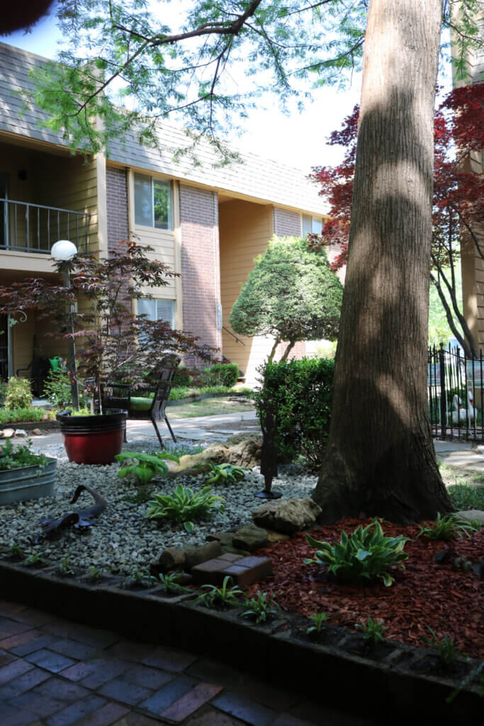 A view of my apartment backyard that I've landscaped around my beautiful Japanese maple tree.