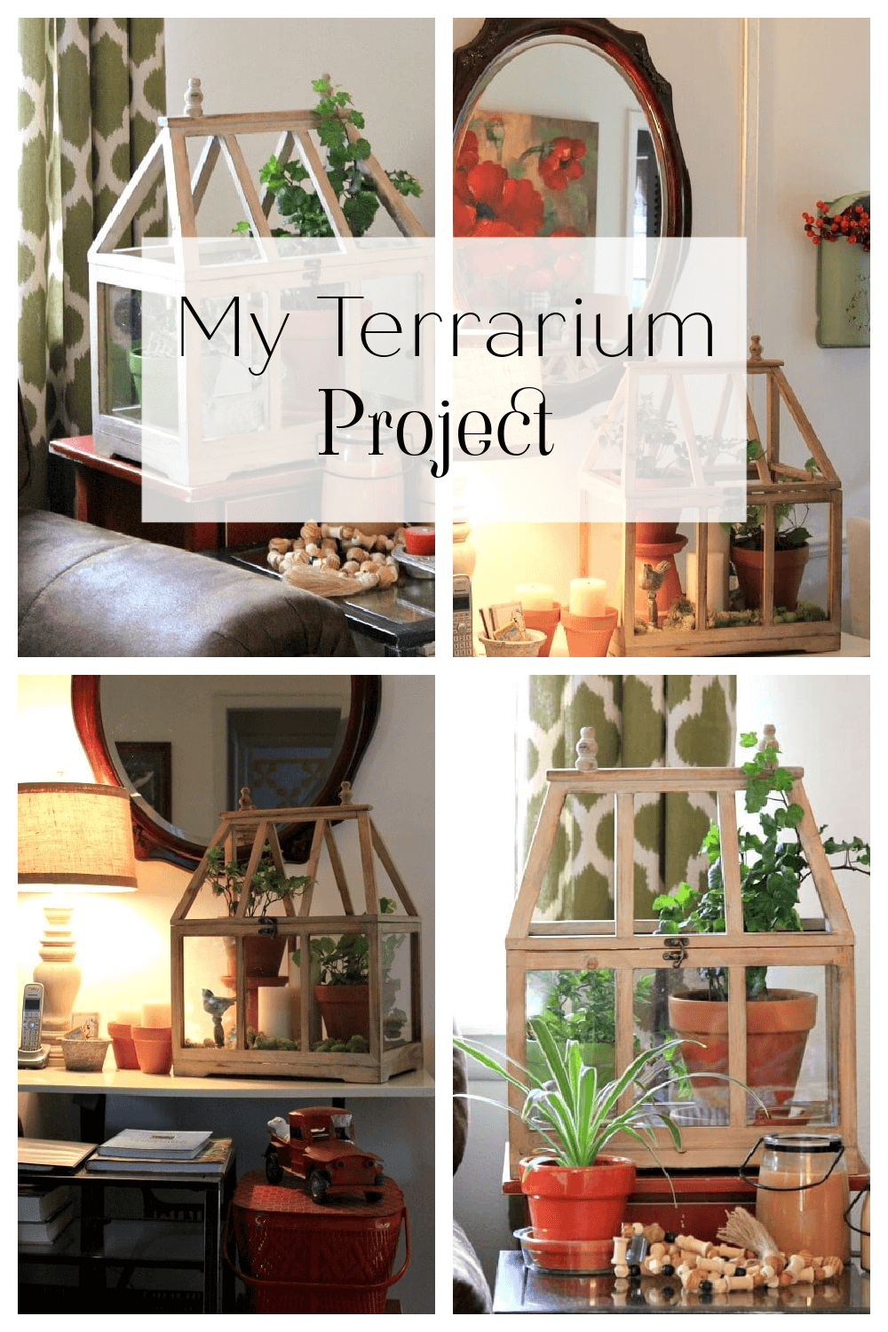 My Terrarium Project
