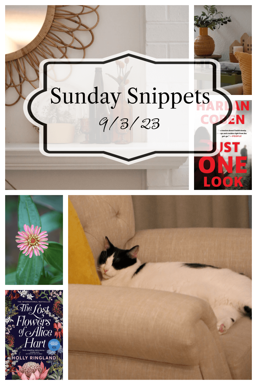 Sunday Snippets 9/3/23 graphic