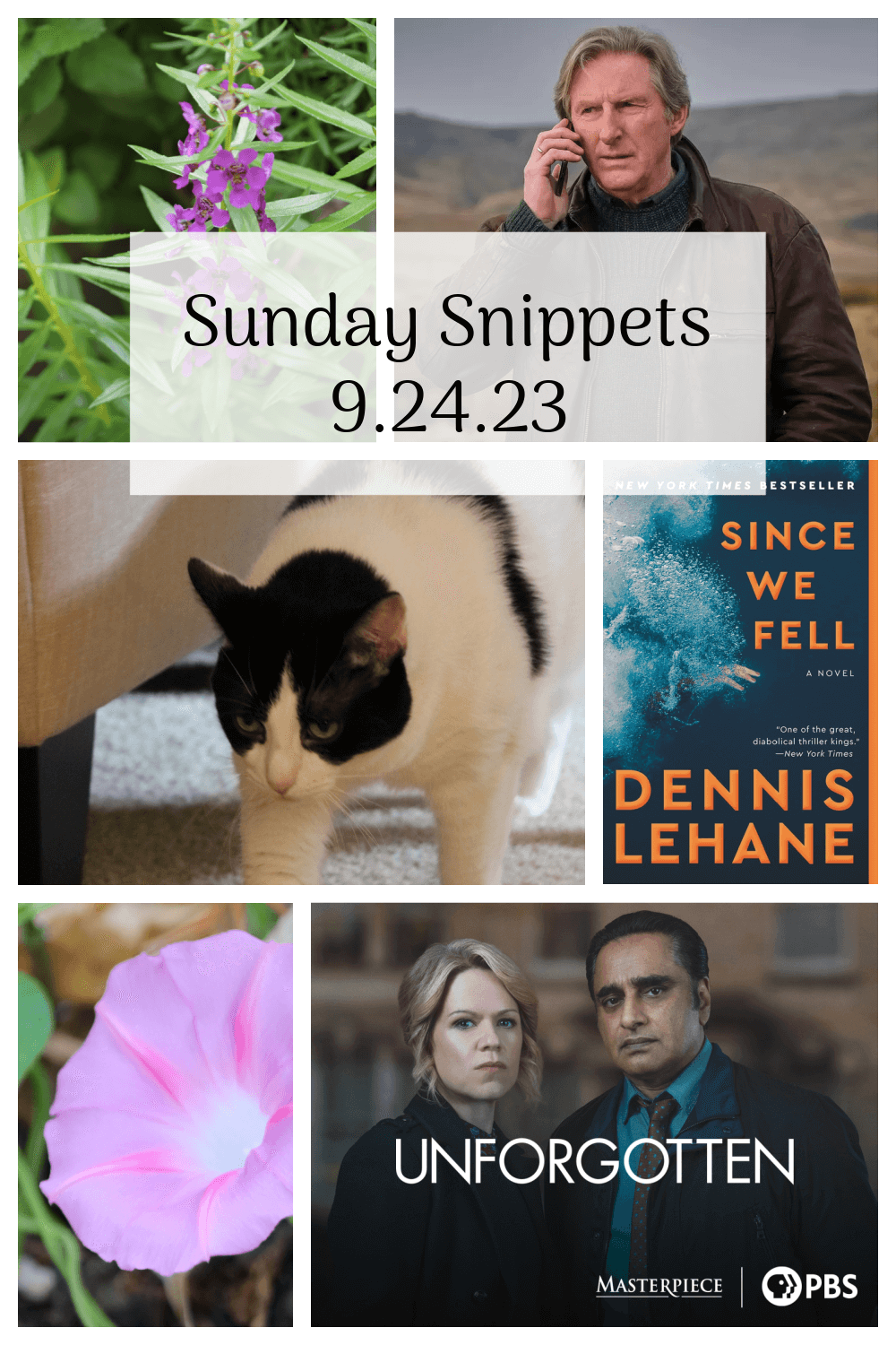 Sunday Snippets 9/24/23