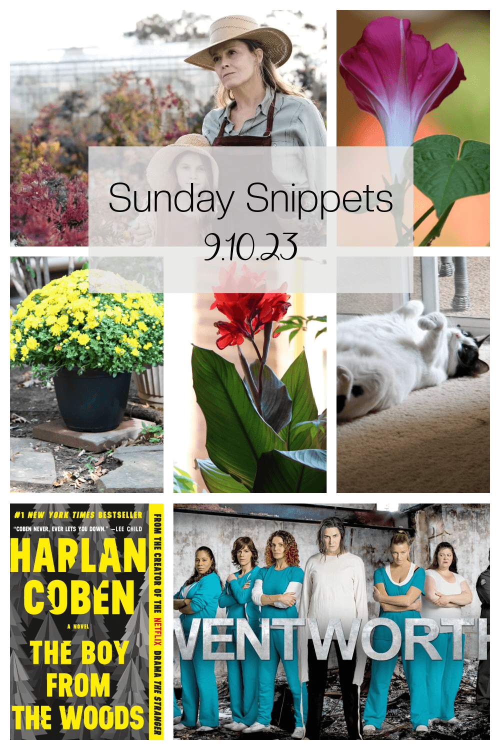 Sunday Snippets 9.10.23