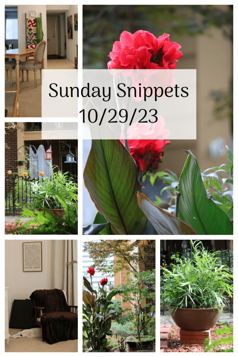 Sunday Snippets 10/29/23