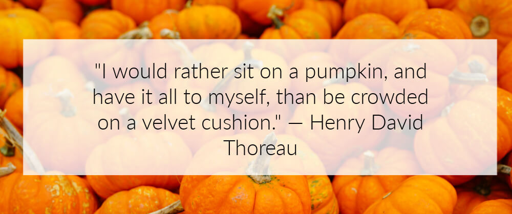 A quote about fall