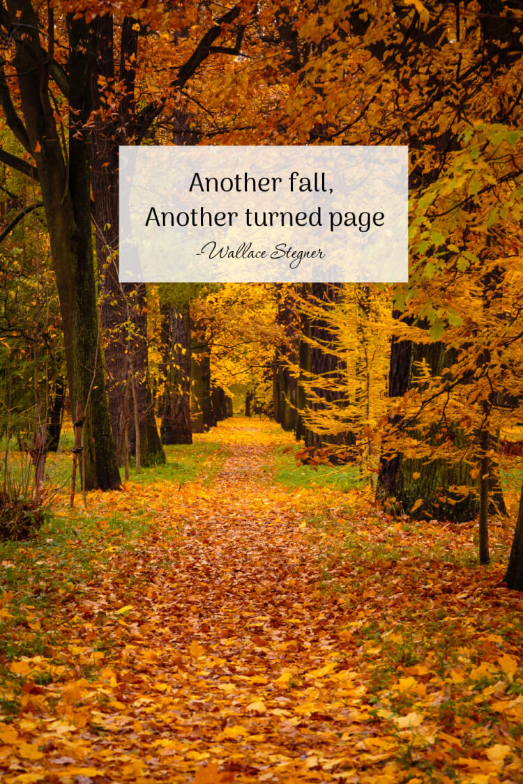 In The Love Of Home Files, this is a photo of fall with a beautiful fall quote