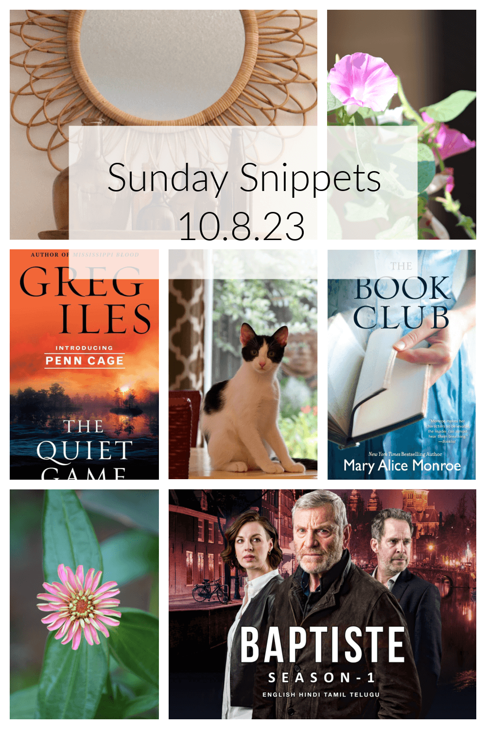 Sunday Snippets 10.8/23