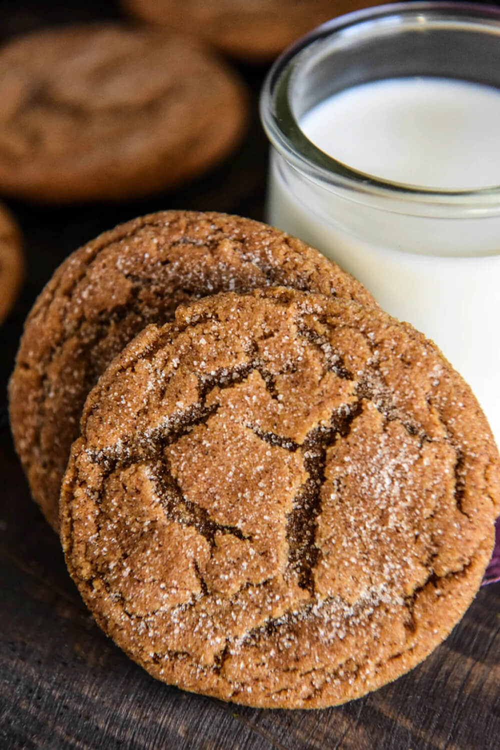 Chewy Christmas Gingerdoodles