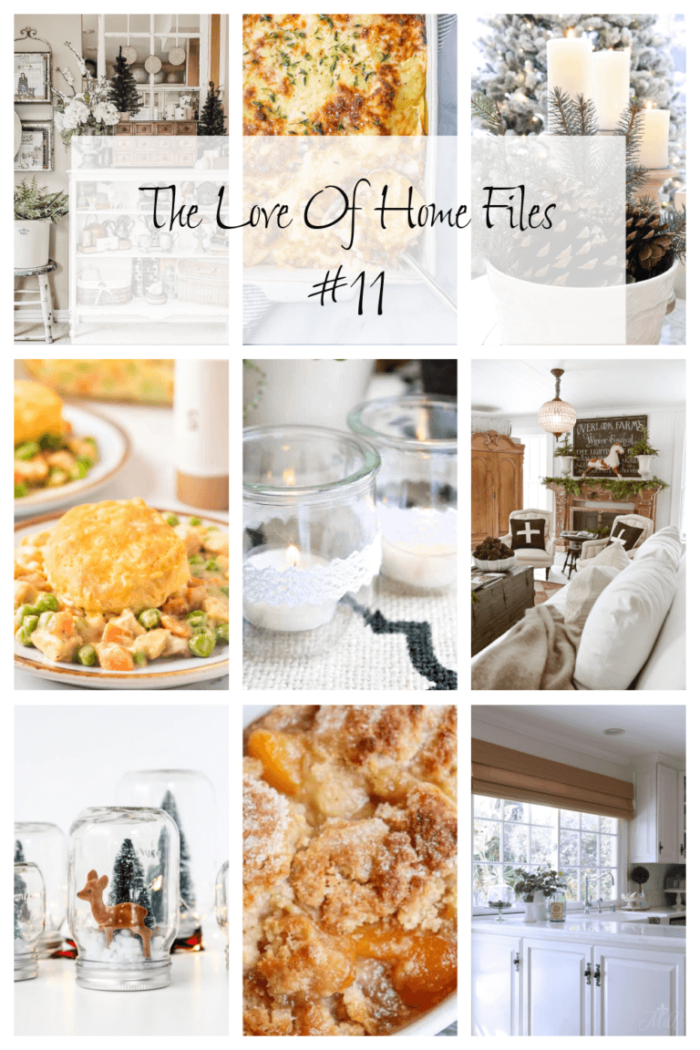 The Love Of Home Files #11