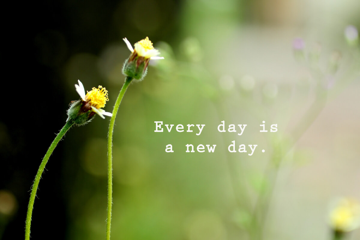 Resolutions for the new year: every day is a new day.