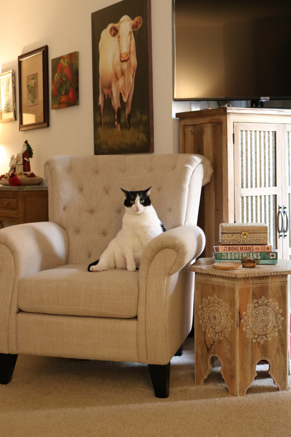 Ivy sitting in a living room chair