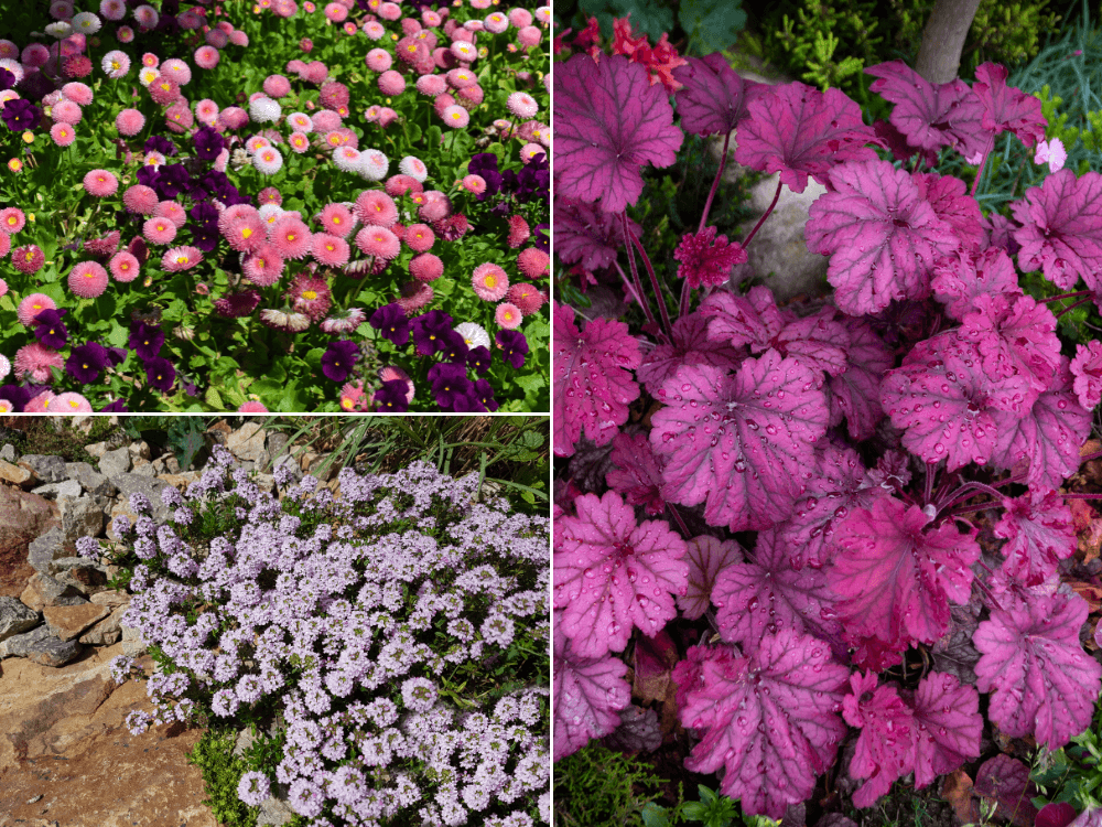 In The Love Of Home Files #22 DIY Bunker shows 30+ ground cover plants for your garden.
