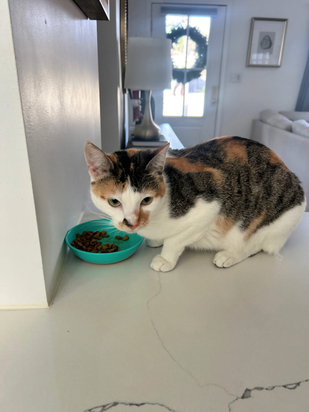 Magnolia, who Kendra calls Maggie, inside Kendra's house eating.