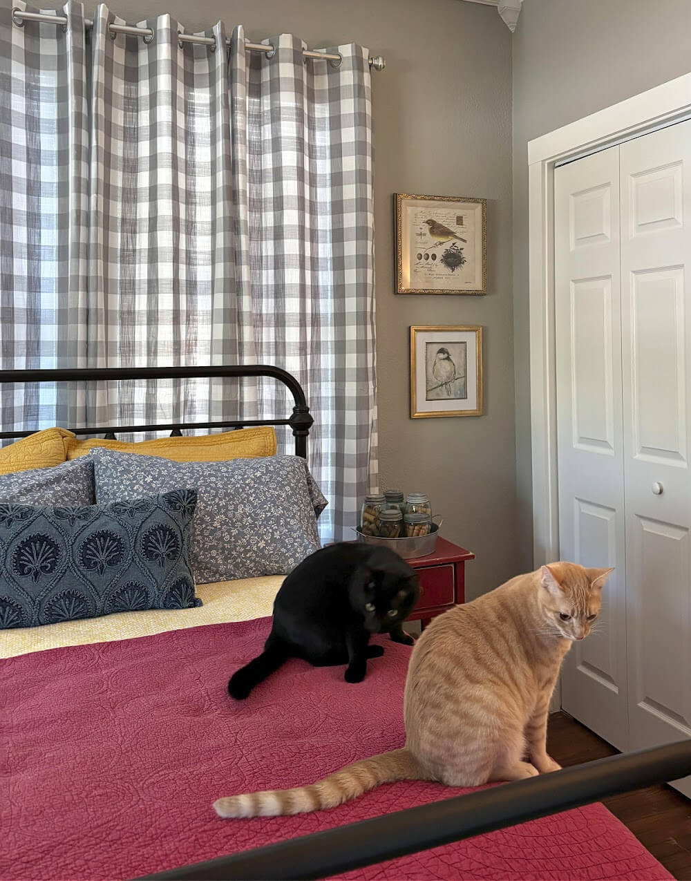 Simon and Daisy sitting on the guest room bed.