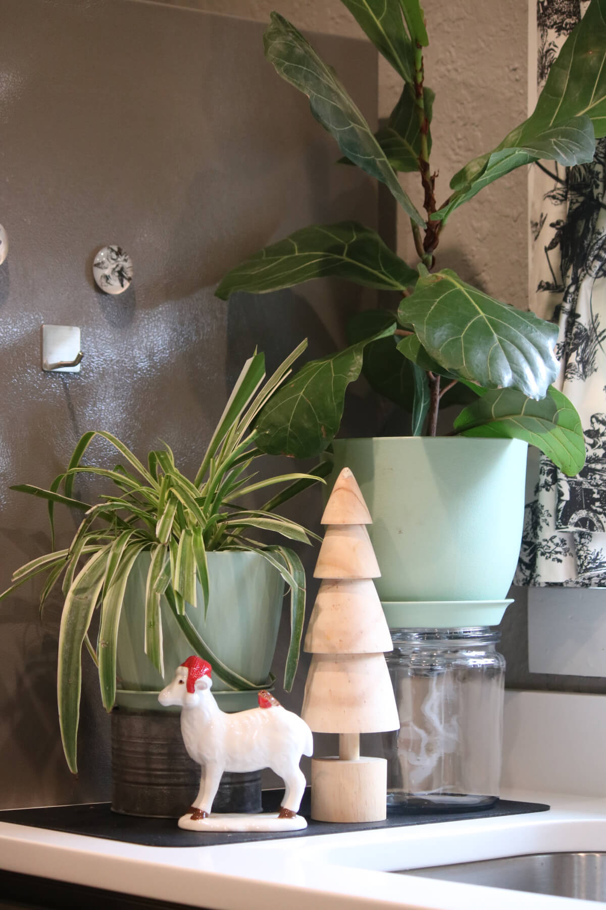 How I Decorated My House Christmas 2025 in the kitchen. A few pieces of decor next to my house plants.