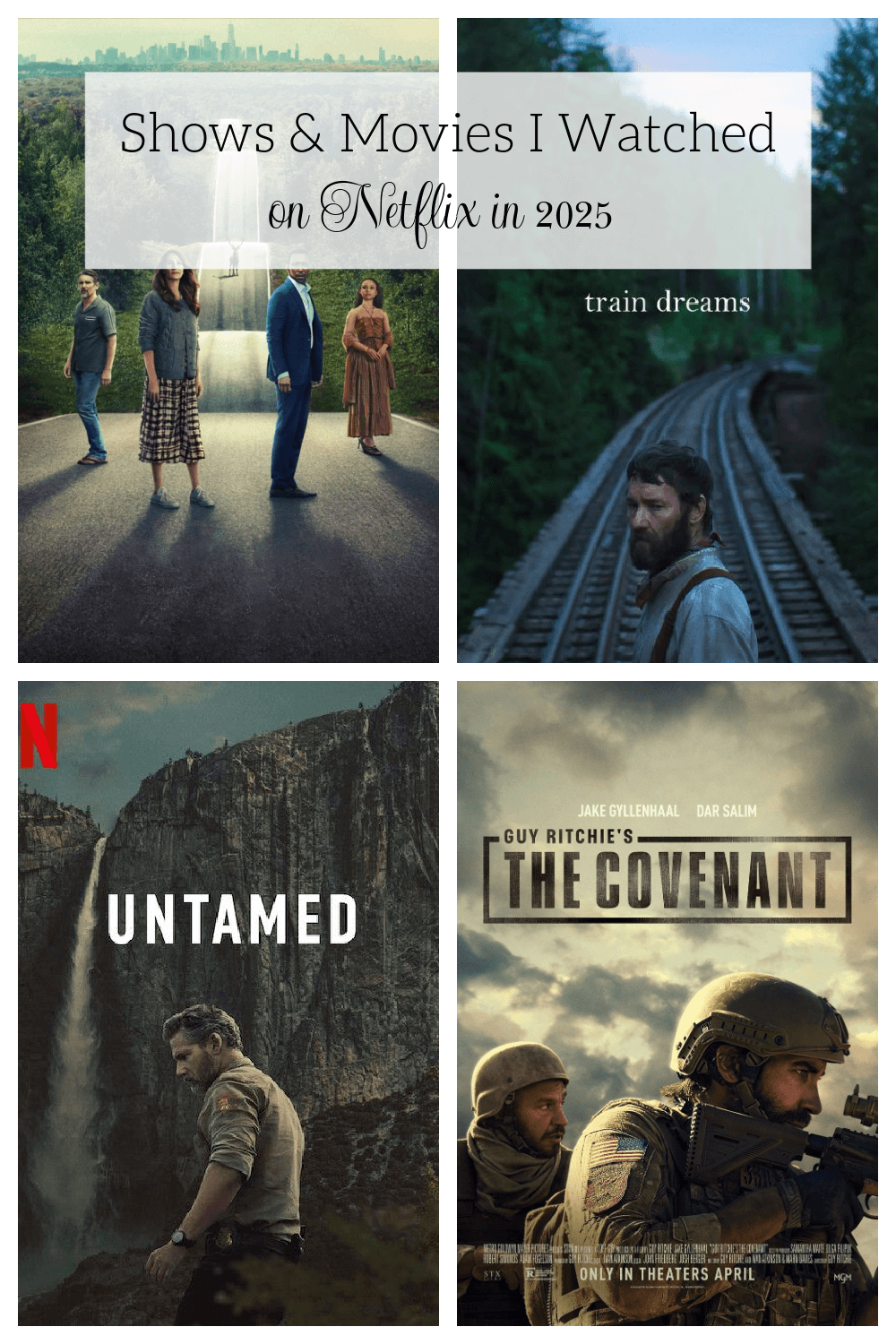 What I watched on Netflix in 2025 graphic I created.