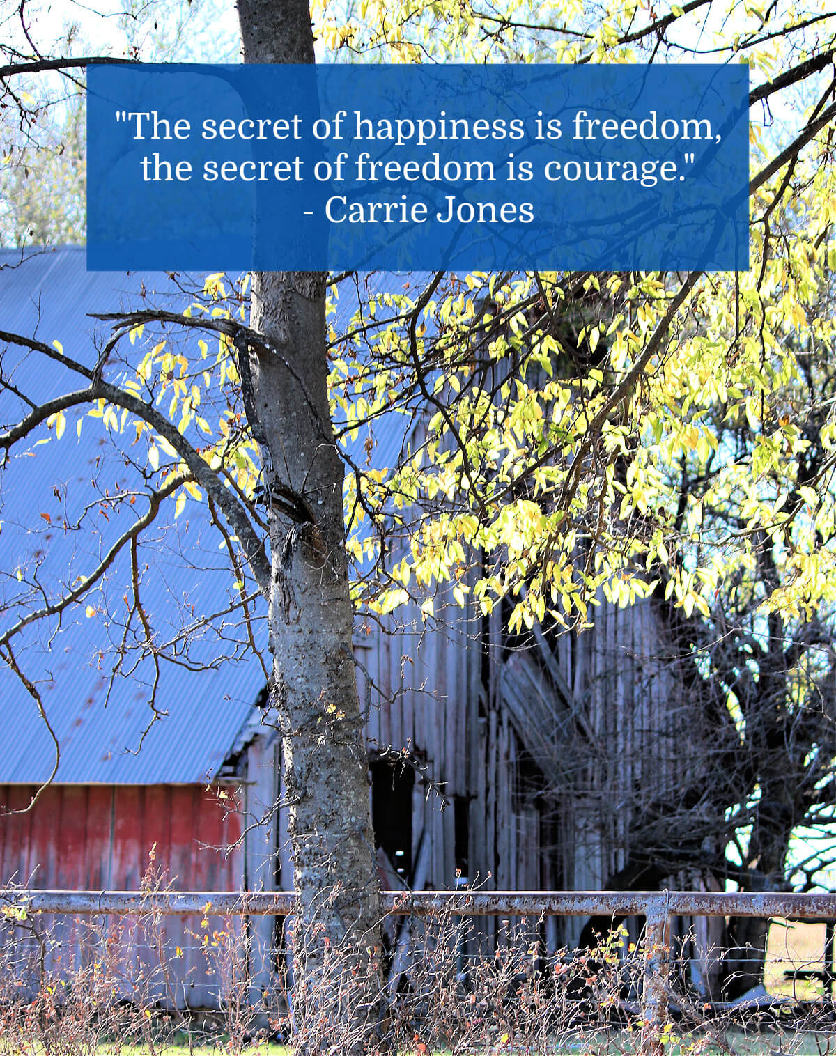 The Secret of Happiness is driving through the country taking photos of barns and cows.