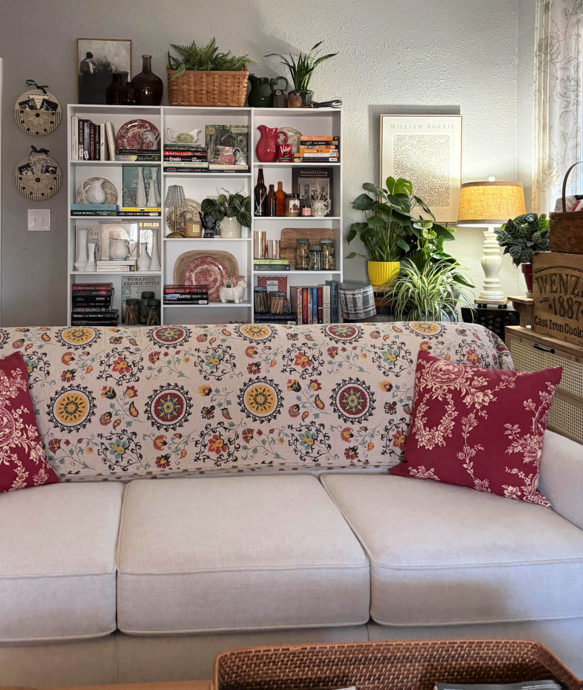 My living room with my couch, the bookshelves, and houseplants.