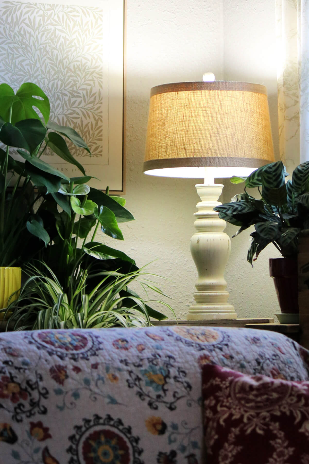 How to enjoy a perfect winter day is the seeing the lush houseplants dotted around the room behind my couch.