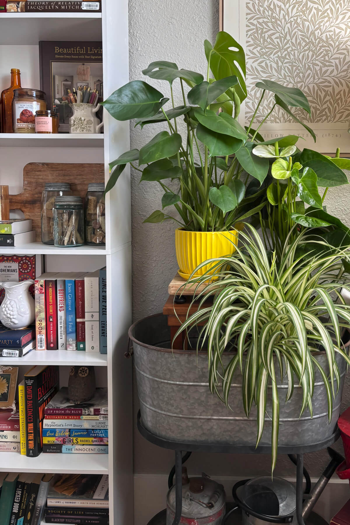 How to enjoy a perfect winter day is when the sun is shining in the windows. Highlighting houseplants, bookshelves, paintings on the walls.