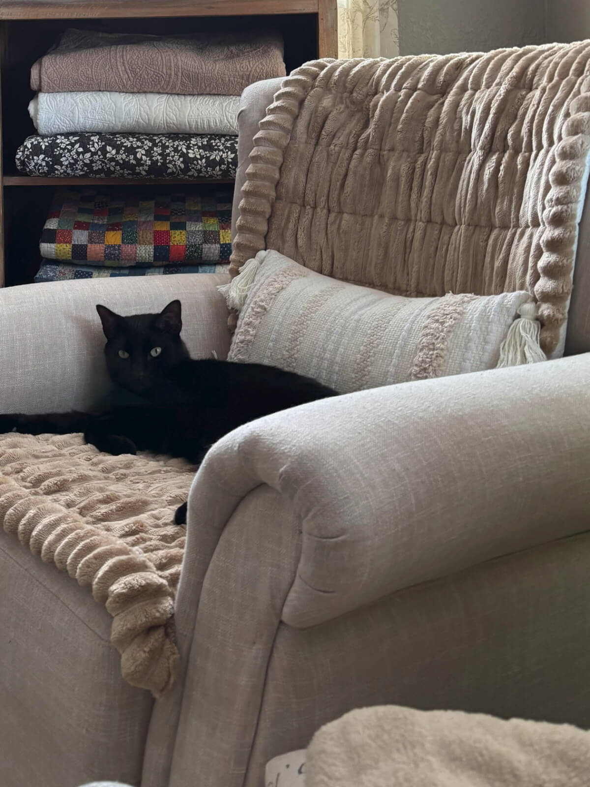 Simon laying in the chair across from mine. The shelves of a cupboard have quilts folded inside. Some of them I made myself.