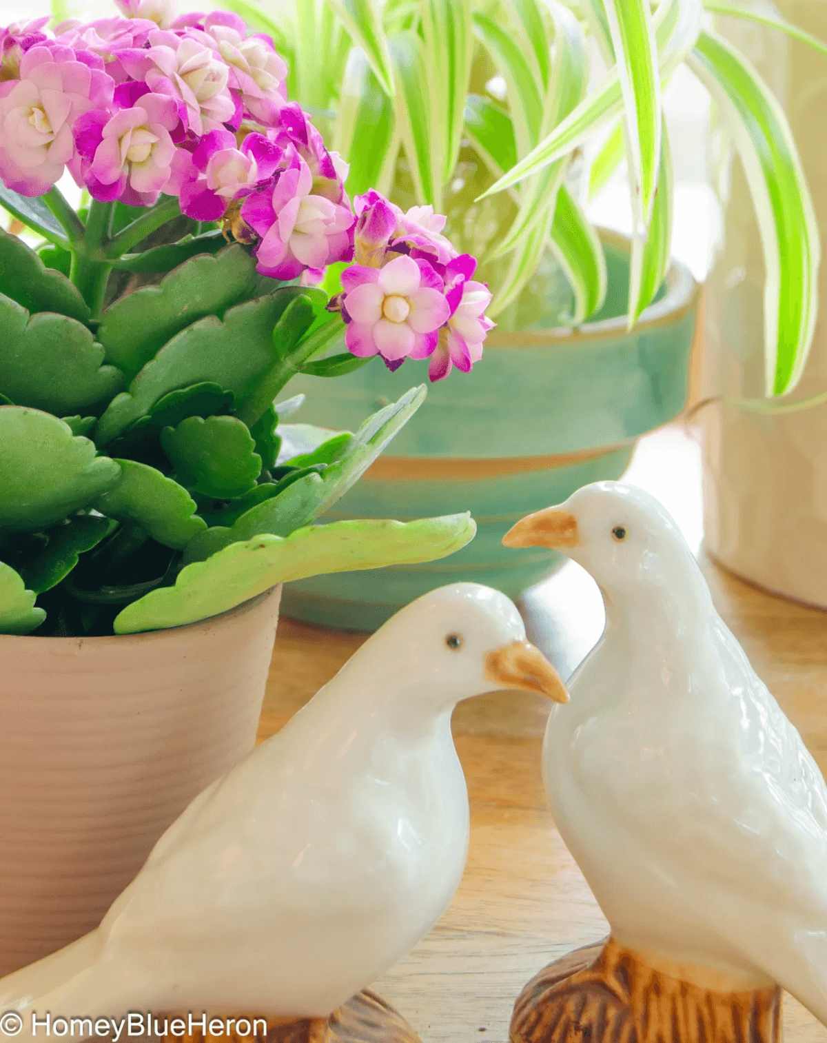 Welcome spring into your home with flowers, plants and ceramic doves.