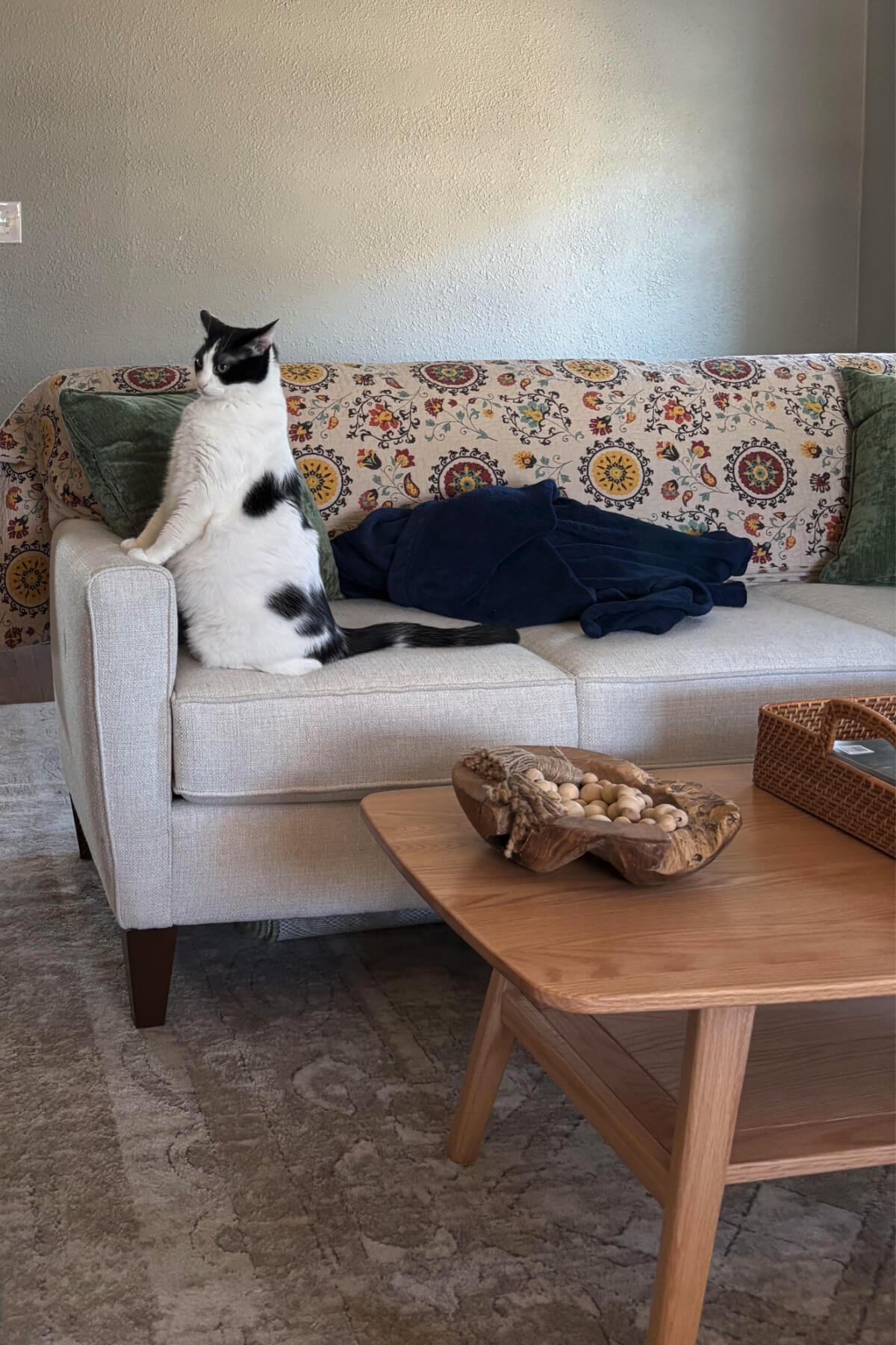 Ivy sitting straight up on the couch.