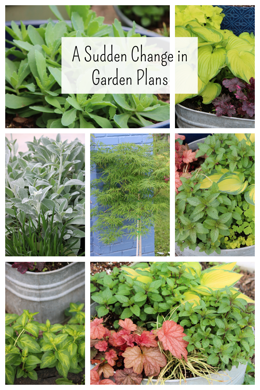 There's been a sudden change in garden plans collage graphic.