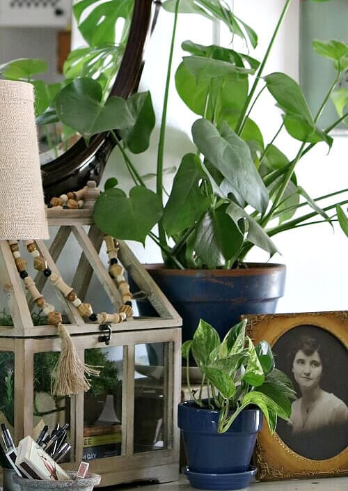 Put decorative vignettes on display with a wooden terrarium, house plants, and a vintage framed photo.