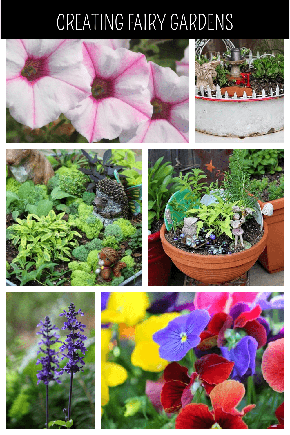 Creating fairy gardens in my garden with terracotta pots and galvanized containers.