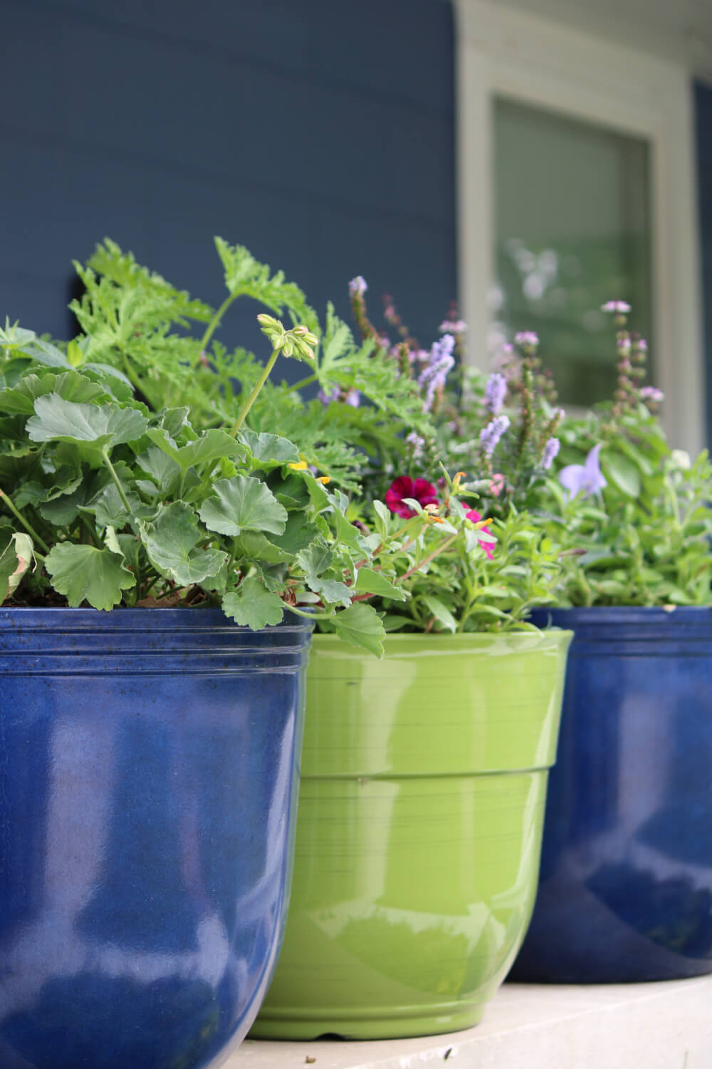 Two blue and one green pot up on the porch filled with various plants.