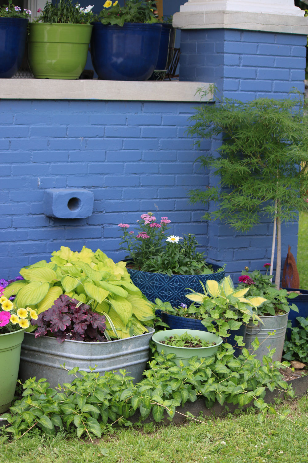 Photos from my Container Garden.