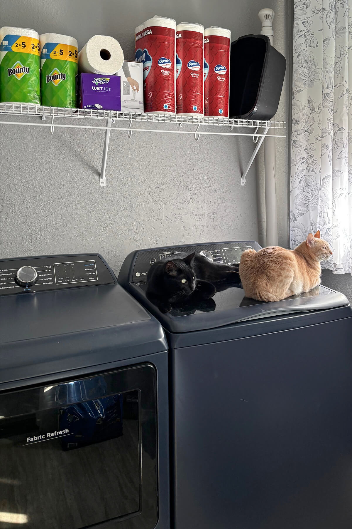 Everyday habits that keep a home tidy include keeping the top of my washer and dryer clear in case kitties want to sit on top.