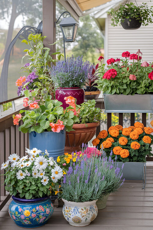 25 Pretty Porch Planters That Boost Curb Appeal include marigolds, lavender, daisies, and geraniums.