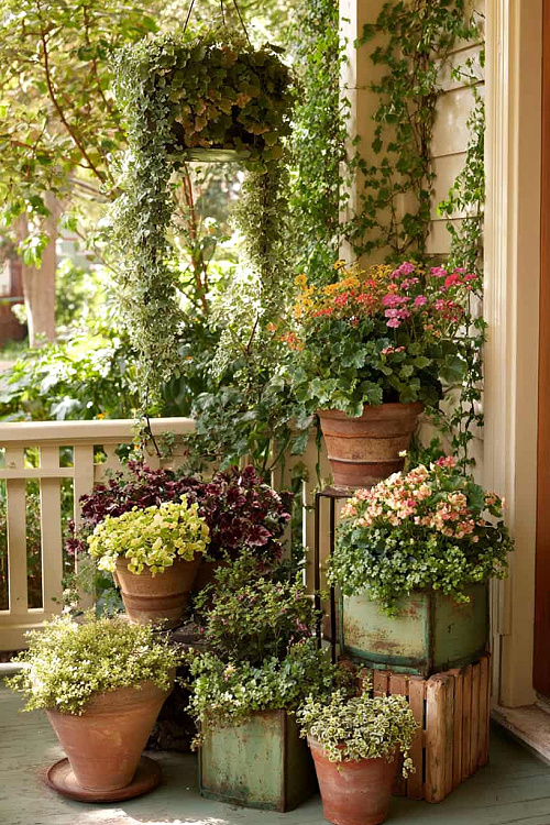 A gathering or pots with flowers in a corner of the porch.
