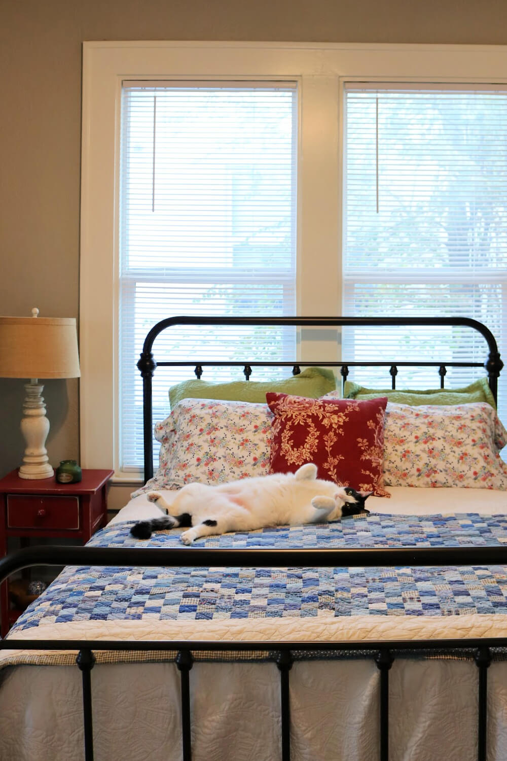Ivy on the guest room bed.