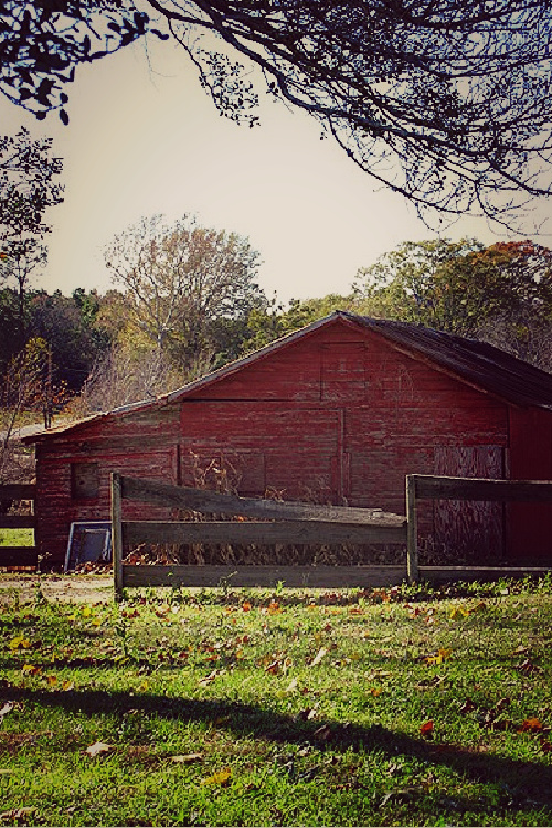 Summing up life in the 1960s, there were Sunday drives in the country with the windows down.