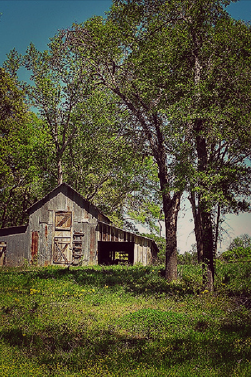 Summing up life in the 1960a consisted of old abandoned barns out in the countryside.