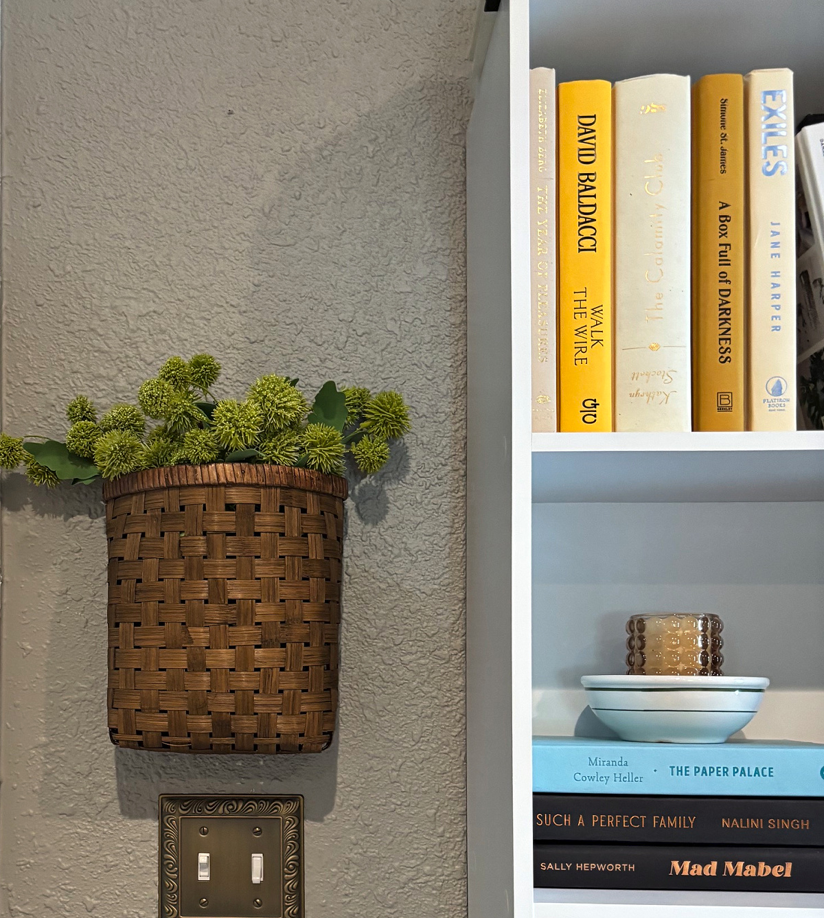 A view of several bookshelves with a brown hanging basket full of greenery.