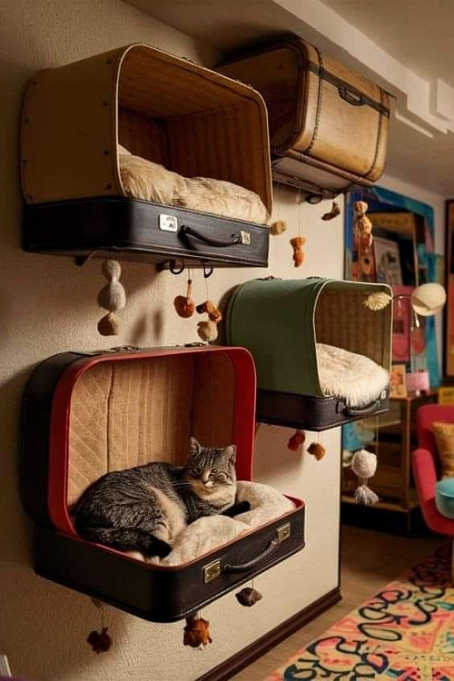 Cat beds hanging on the wall.