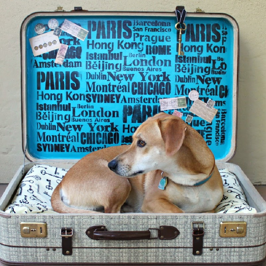 A dog bed.