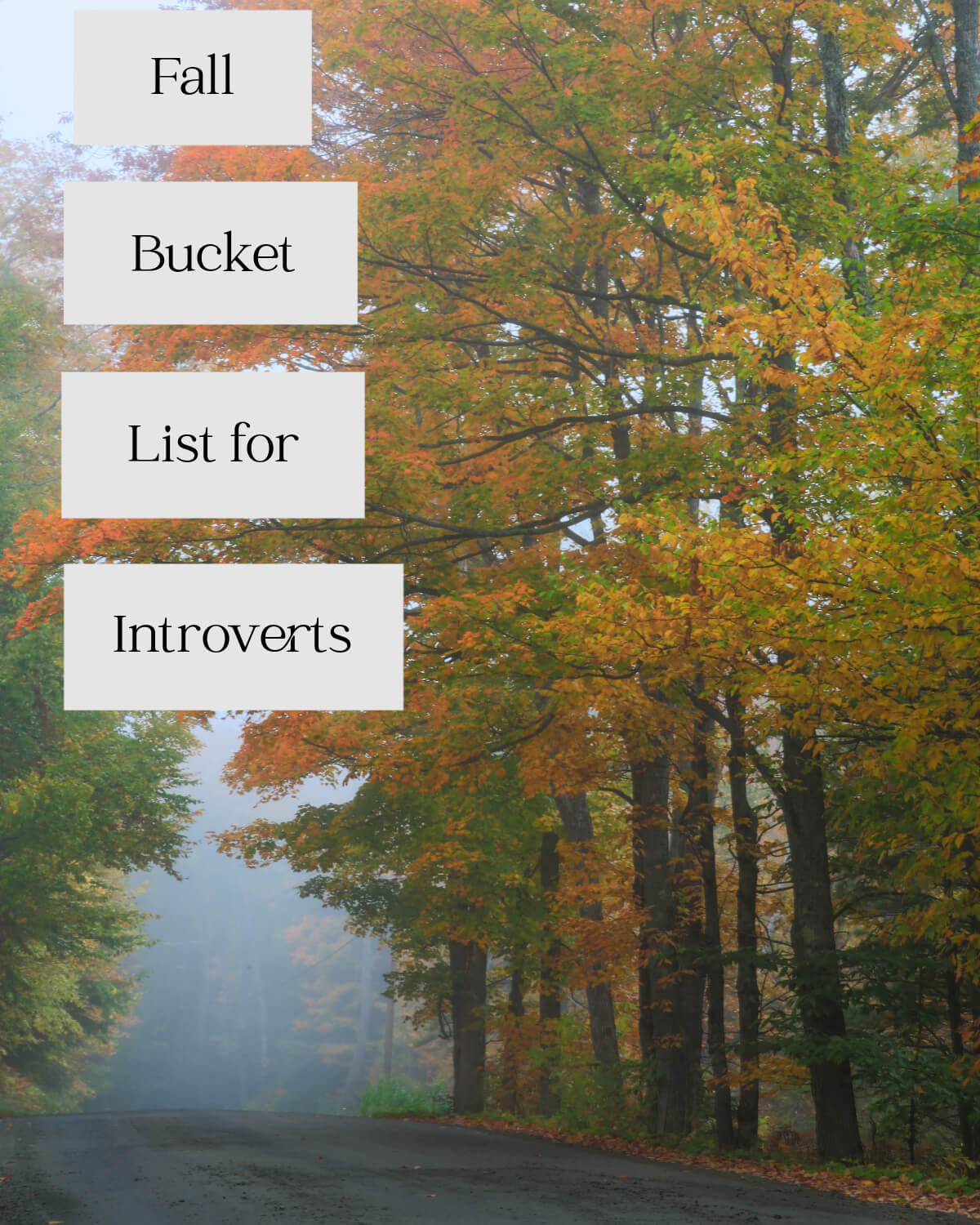 Fall bucket list for introverts graphic I created of trees in autumn.