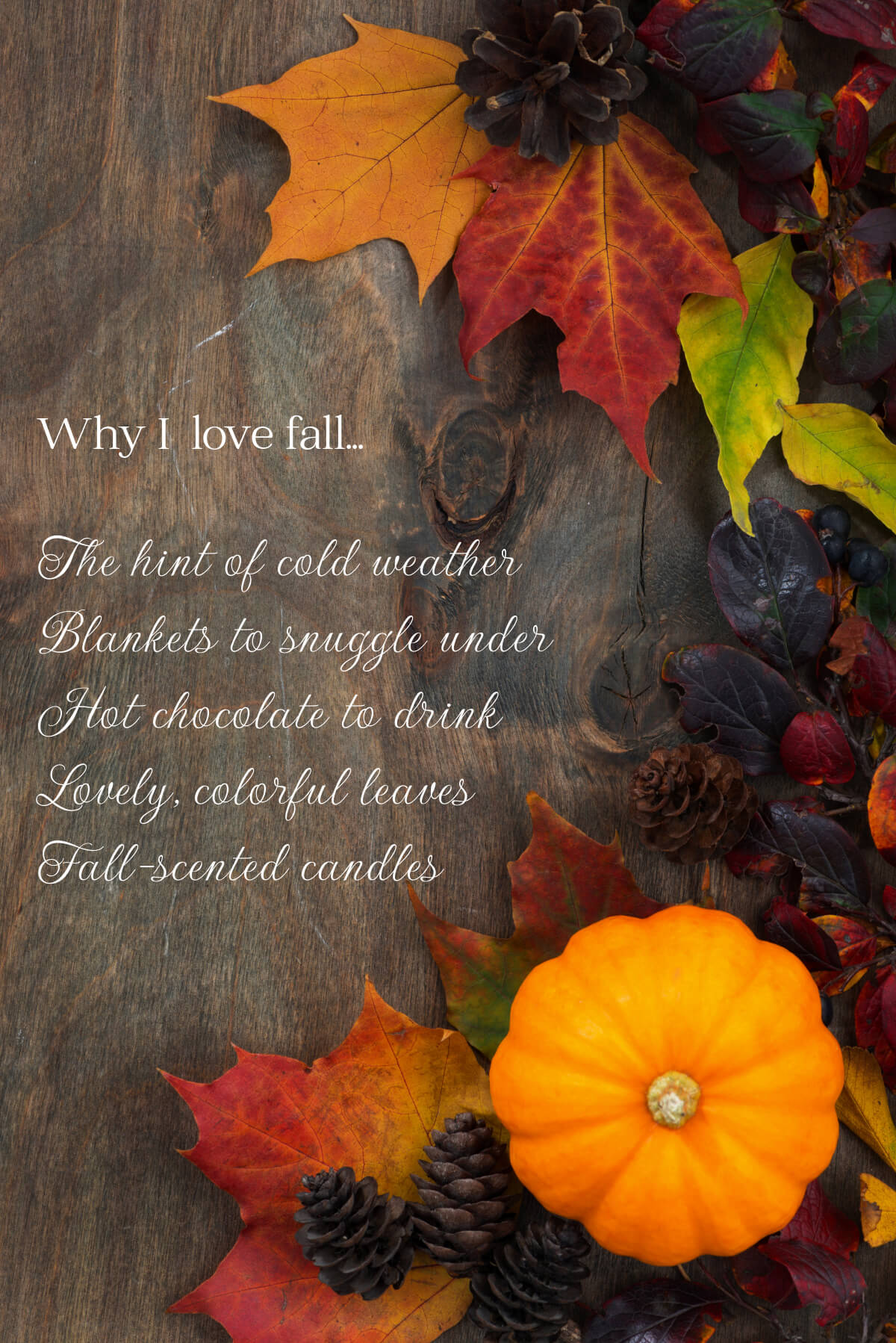 Why I love fall graphic of words on wood.